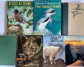 Vintage Wildlife Books and Novels - 1963 First Edition Clyde of Africa by Michael Mason, 1982 Secret Corners of The World by Nat Geo, 1979 Wildlife of The Mountains by Edward R. Ricciuti, and More
