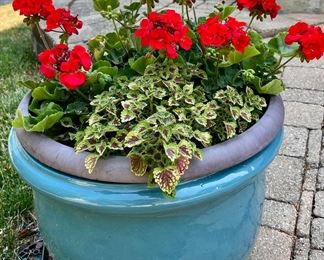 Planters and Flowers are all for sale.