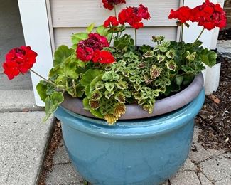 Planters and Flowers are all for sale.