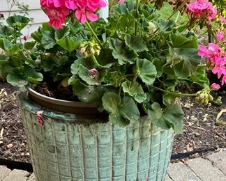 Planters and Flowers are all for sale.