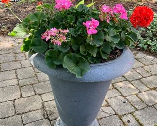 Planters and Flowers are all for sale.