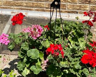 Planters and Flowers are all for sale.