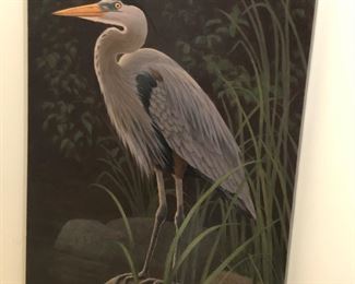 Several animal portraits