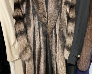 Raccoon Coat 