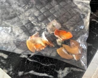 #60- $1,800 Monumental Pair of Capodimonte Covered Figural Urns, 30"Hx13"W. One finial is damaged...we have the pieces to be glued.