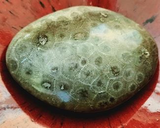 Petoskey (petrified coral) found in only one place in the world - Great Lakes shore of lower peninsula Michigan