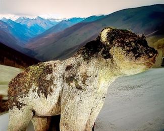 Large Concrete Bear $149 or bid #62