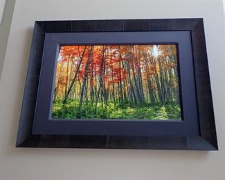 PETER LIK  AUTUMN SPLENDOR