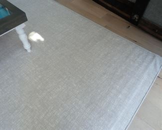 WASHABLE RUG