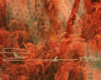 Peter Lik   Rouge - large 44" X 96" Framed   PETER LIK