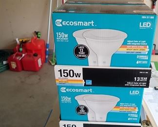 ECOSMART LIGHT BULBS