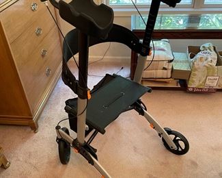 Additional view of AllVibrant walker~