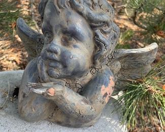Grey cherub,  $14