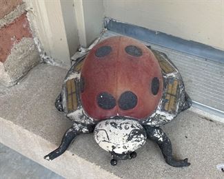 Lady bug  $5