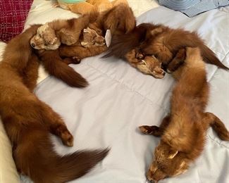 Vintage Genuine Mink Stole Fur Scarf Wrap  Full Body Pelts, $30