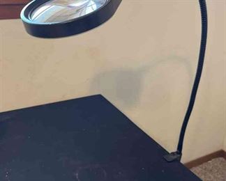 Gooseneck Magnifying Light