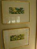 Pair of Water Colors by Joanne Esterday Apples