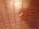 Blemish on Table top