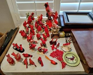Red cardinal bird collection