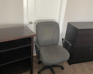 Another Great Book Case And A File Cabinet