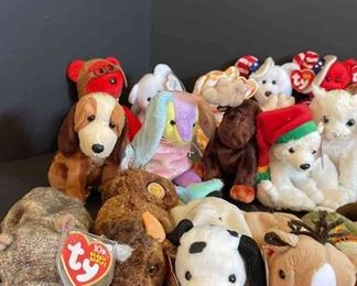 Whose Searching For A Beannie 