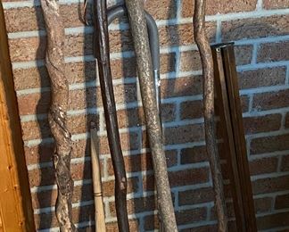 Walking Stick Collection