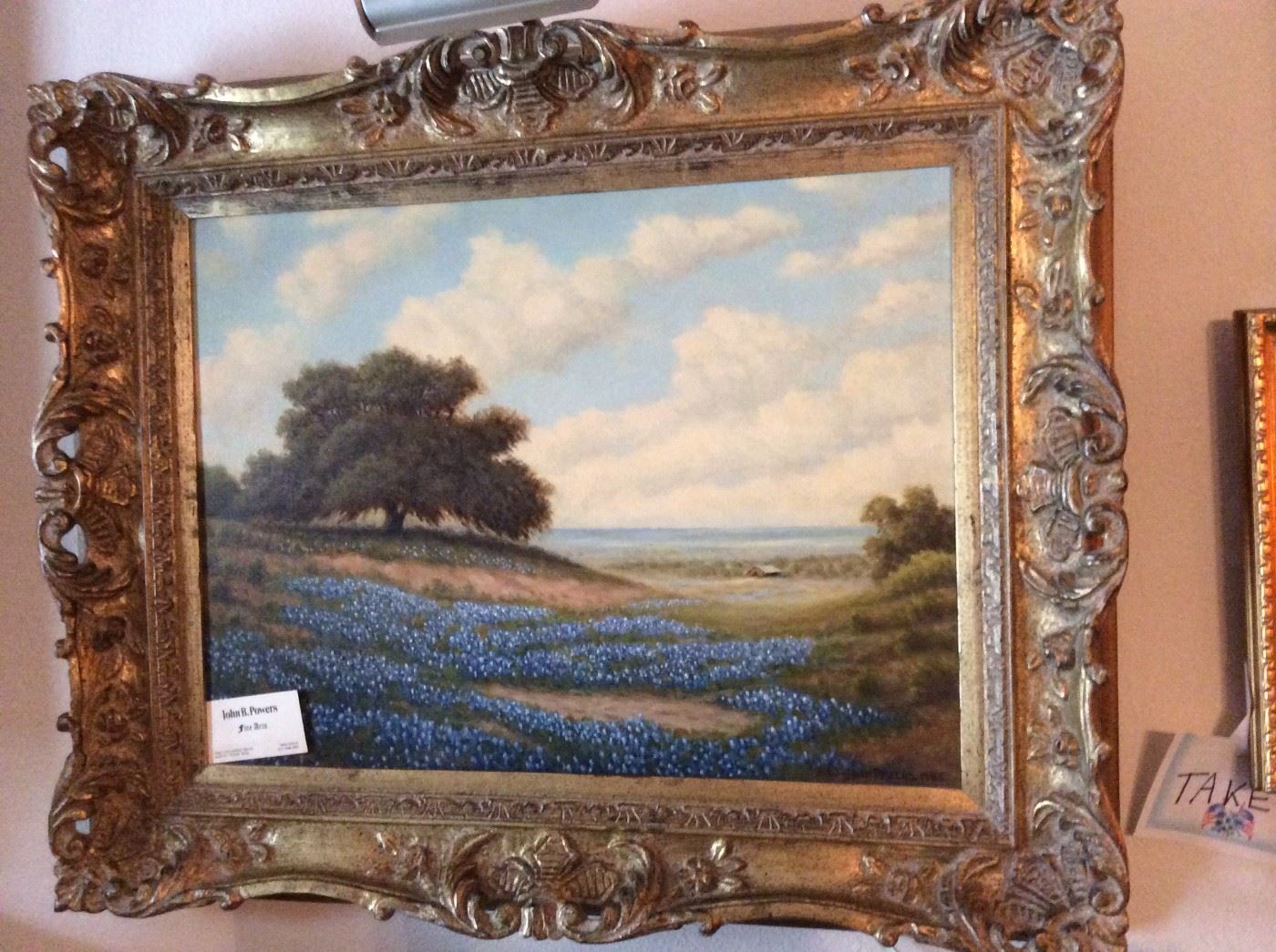 Texas Bluebonnets