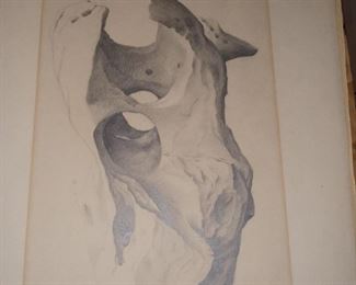 Graphite on paper "one eyed stone " 
Marion Adnams
Surrealism
Derby England