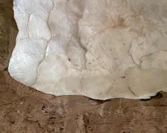 Drift Wood Bowl with Mother Of Pearl Lining. Photo 2 of 3.