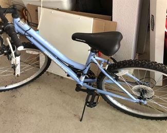 Roadmaster, Graphite Peak, 24 Inch Womens Bike