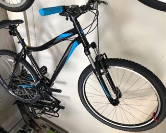 Specialized Women’s Tune.  Mika bike