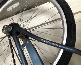 Flatfoot technology Townie Electra