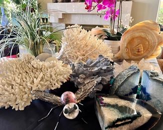 THE OCEAN, CORAL REEF COLLECTION IS SPECTACULAR!