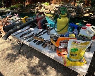 Outdoor gardening tools. Homelite leaf blower. Insect killer