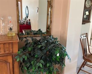 Large Mirror, Artificial Plant