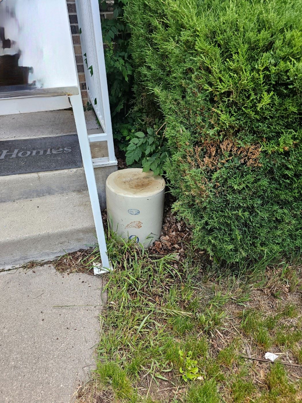 Countryside Tools and Treasures in Westminster, CO starts on 7/21/2023