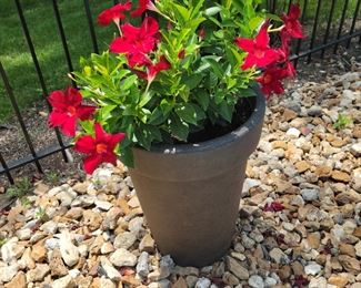 Outdoor pots