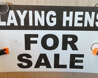 Laying Hens for Sale (The sign not the Hens!)