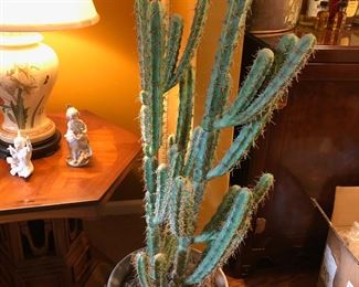 Artificial Cactus