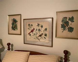 Variety of Prints: birds, landscapes and architecture.
