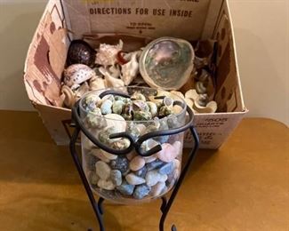 Lot of Seashells & Vase