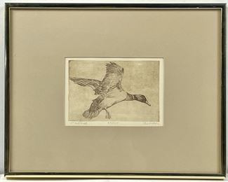 Framed and pencil signed etching ÒMallardÓ 83/125 Armour
