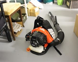 Echo backpack blower