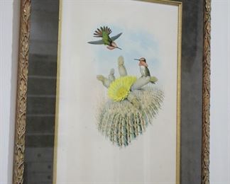 Set of 3 Gould & Richter hummingbird lithograph