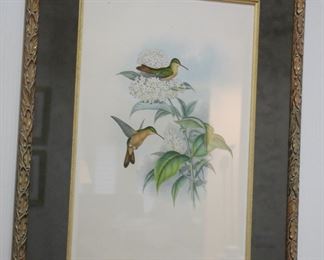 Set of 3 Gould & Richter hummingbird lithograph