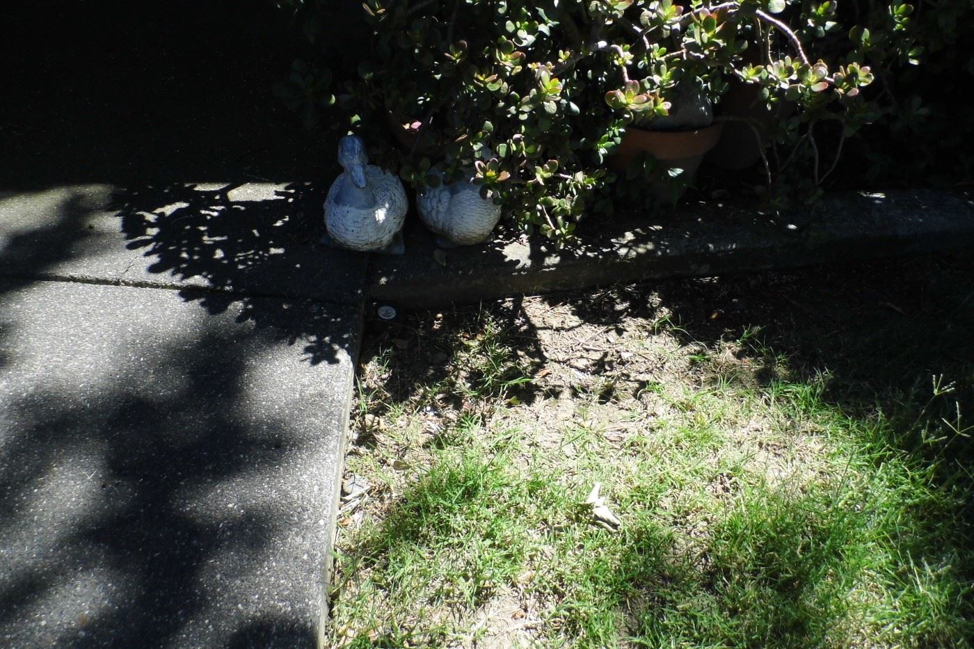 Winters Estate Sale BY A Simple Solution... starts on 7/20/2023