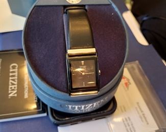 Beautiful citizen watch