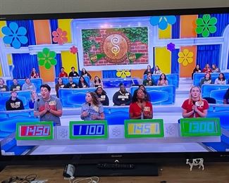 Another picture of the flat screen TV smart TV turned on