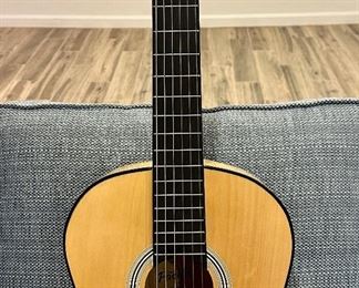 Pacific Guitar PSG44ST