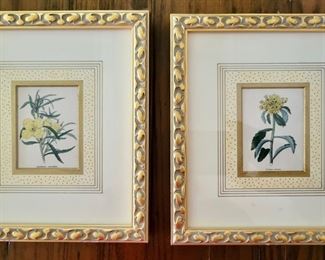 (2) Botanical Prints